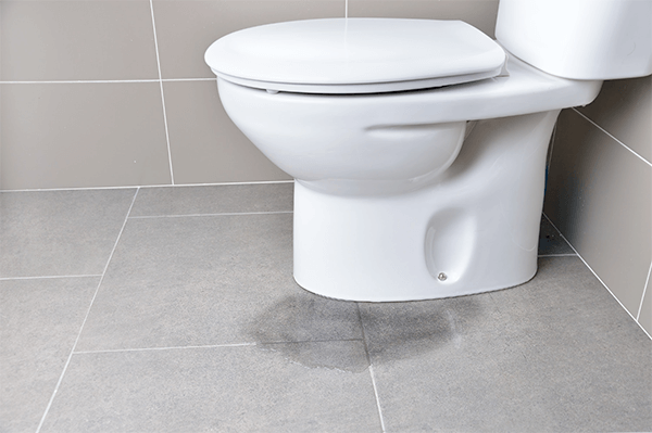 Professional Toilet Plumbing Repair in Sparks, NV